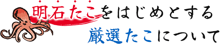 明石たこをはじめとする厳選たこについて